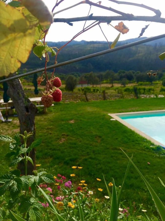 Quinta Da Aranha Villa Аркос де Валдевез Екстериор снимка